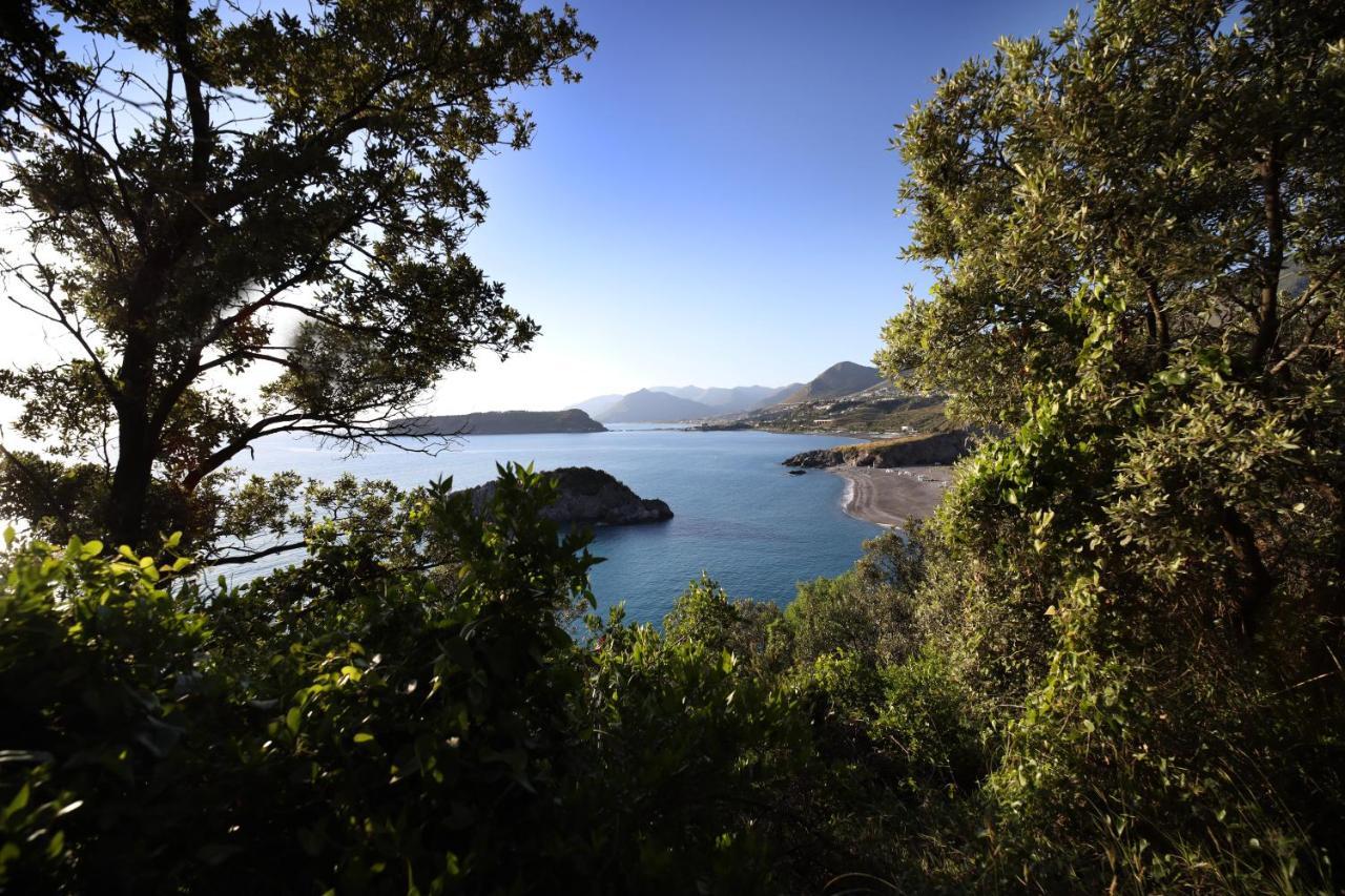 B&B Vannefora San Nicola Arcella Luaran gambar