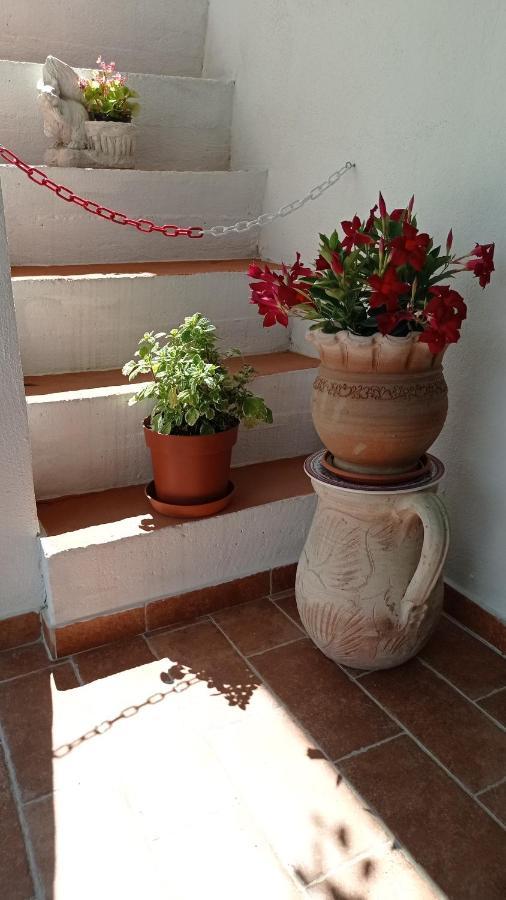 B&B Vannefora San Nicola Arcella Luaran gambar