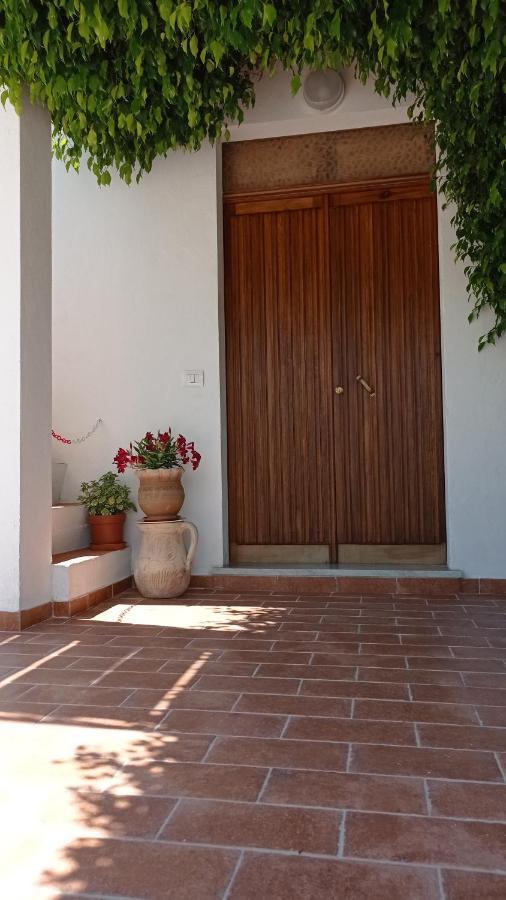 B&B Vannefora San Nicola Arcella Luaran gambar