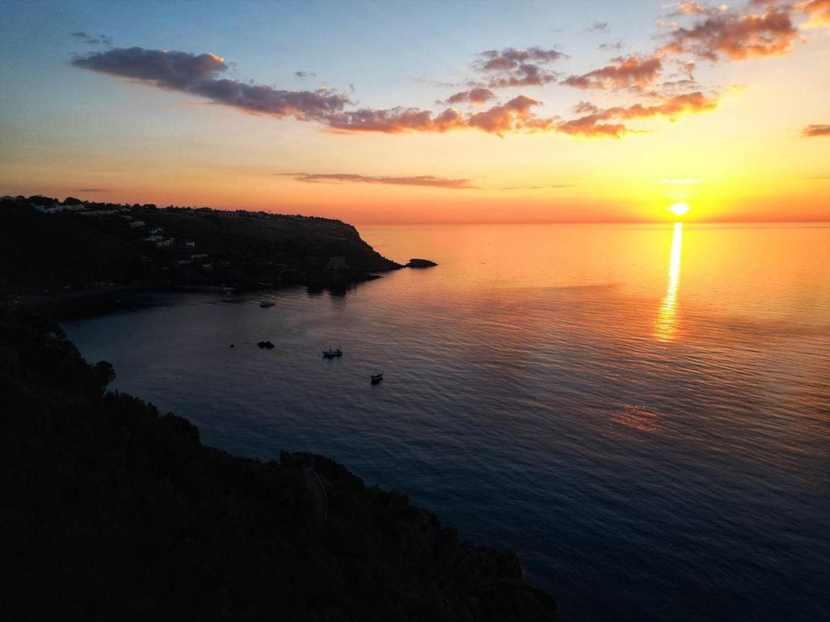 B&B Vannefora San Nicola Arcella Luaran gambar